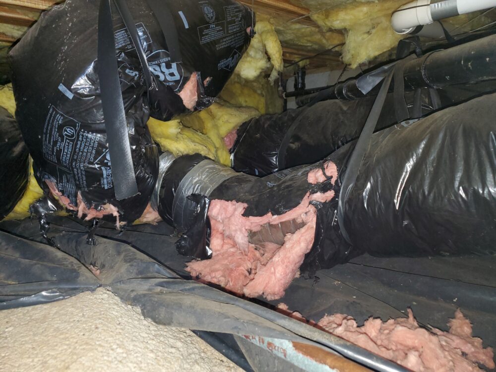 Crawl Space Cleaning